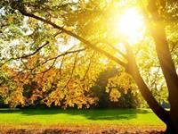 过的最没心没肺的星座