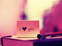 竹猫星球一周塔罗运势(10.23-10.29）