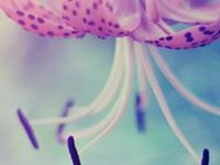 盘点：勿忘初心的星座