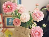 徐墨斋2017年11月生肖狗运势