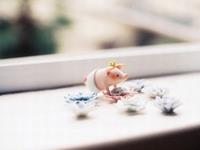 这些星座的东西你最好不要乱动