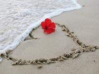 双子座的最大特点，双子座的最大特征