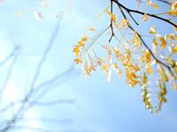 射手座的最大特点，射手座的最大特征