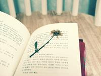 水瓶座最抠（省钱）的地方在哪