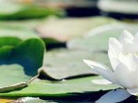 星座：智商不在还想撩妹？