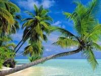 恋爱以后，这些星座让你很舒服