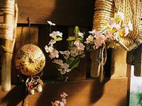 竹猫星球一周塔罗运势(10.30-11.5）