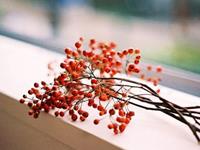 泓翔2017年11月生肖财气运势