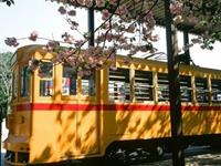 柒爸2017年11月白羊座运势