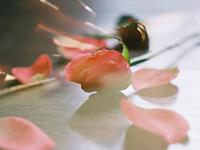 柒爸2017年11月天蝎座运势