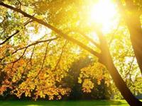 年底桃花旺盛的星座