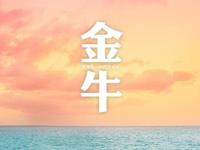 金牛座的理想情人