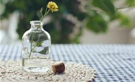 苏珊米勒今日运势2017年11月5日