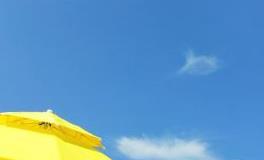 为了爱情故意变傻的星座