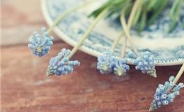 董易林2017年11月10日生肖运势