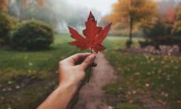 占卜怎样才能加深你们之间的感情呢