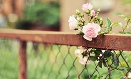 最会说谎的星座，脸不红心不跳