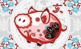 张盛舒生肖猪2017年12月运势