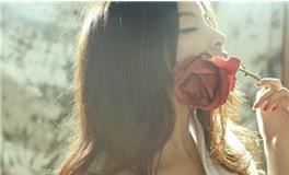 11月中旬，财运亨通的生肖排行