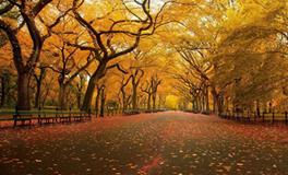 处女座天不怕地不怕就怕什么