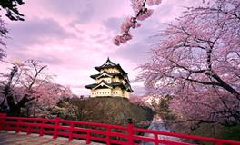 射手座天不怕地不怕就怕什么