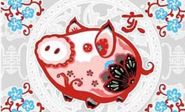 泓翔2017年12月生肖猪事业运势