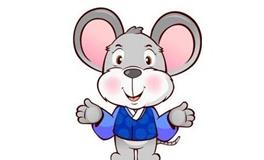 2018年生肖鼠财运大盘点