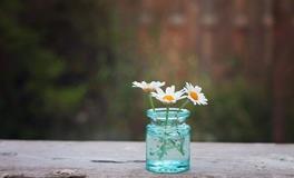 嘴毒心却善良的星座