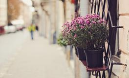 人美不自知，盘点被暗恋最多的星座