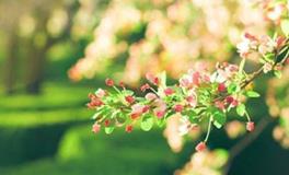 白羊座最受不了的10件事