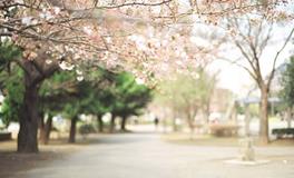 摩羯座最受不了的10件事