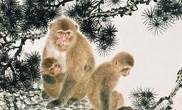 古易方2017年12月生肖猴男士运程