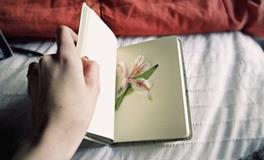 灵运大师11月25日生肖运势