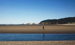 你现在努力的方向是正确的吗？