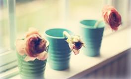 被人说长得丑，12星座会怎么办