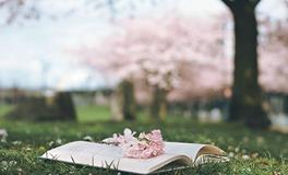 恋爱中总是处于弱势的星座