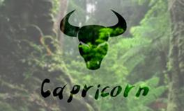 Alex摩羯座2017年12月运势