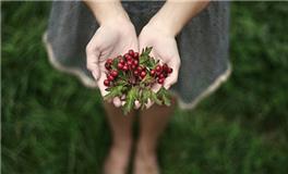 洁安生命灵数一周运势（12.4-12.10）