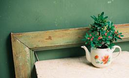 苏珊米勒2017年12月白羊座运势