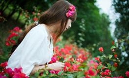 易玄生肖狗一周运势（12.4-12.10）