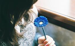 十二月份最容易出现感情危机的生肖