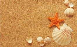 双鱼座2018年整体运势