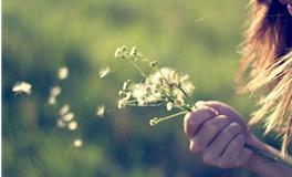 吴宽之2018年生肖鸡运势