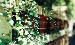 李建军一周生肖蛇运势（12.11-12.17）