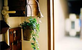 苏珊米勒今日运势2017年12月12日