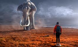 测你近期投资理财运势如何