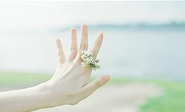 滴天居士2018年生肖狗运势