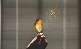 萨丽2018年巨蟹座运势