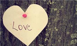 易玄一周生肖羊运势（12.25-12.31）