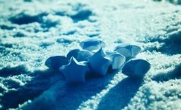 眼里揉不进沙子，哪些星座最正直